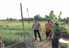 Bhabinkamtibmas-Desa-Punggul-Bersama-Warga-Cek-Lahan-Ketahanan-Pangan