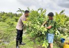 Polsek-Taman-Pantau-Tanaman-Hortikultura-untuk-Hasil-Optimal