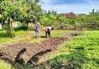 Bhabinkamtibmas-Desa-Jiken-Cek-Perkembangan-Program-Ketahanan-Pangan-Tanaman-Sayuran