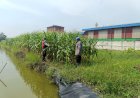 Polsek-Krian-Dukung-Ketahanan-Pangan,-Koordinasi-dengan-Warga-Desa-Ponokawan-untuk-Budidaya-Jagung