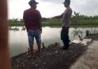 Dongkrak-Ekspor-Udang,-Petani-Tambak-di-Banjar-Kemuning-Didorong-Tingkatkan-Produksi