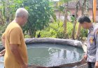 Bhabinkamtibmas-Desa-Ploso-Bersama-Pembudidaya-Ikan-Lele-Gerak-Bersama-untuk-Ketahanan-Pangan-Lewat-Program-Pekarangan-Pangan-Bergizi