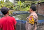 Polsek-Krembung-Dorong-Ketahanan-Pangan-Lewat-Sektor-Perikanan
