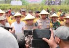 Lonjakan-Produksi-Jagung-di-Wilayah-Polda-Jatim-Dukung-Program-Swasembada-Pangan