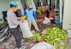 Polsek-Porong-Dampingi-Warga-Budidaya-Mentimun