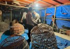Polres-Lamongan-Bongkar-Arena-Judi-Sabung-Ayam-di-Dua-Lokasi