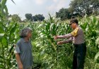 Warga-Sepanjang-Dukung-Ketahanan-Pangan-Polresta-Sidoarjo,-Polisi-Beri-Apresiasi-dan-Edukasi