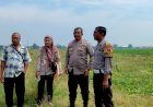 Polsek-Tanggulangin-Dampingi-Petani-Pengurusan-KUR-Himbara-Sukseskan-Program-Ketahanan-Pangan