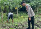 Polsek-Waru-Kawal-Jagung-Tumbuh-Subur-di-Pepelegi,-Wujud-Nyata-Polisi-Cinta-Petani-Dukung-Swasembada-Pangan